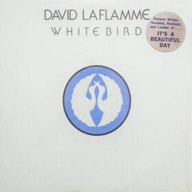 David LaFlamme - White Bird